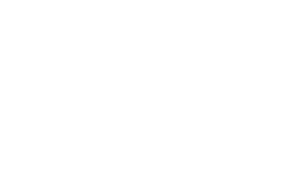 Narciso Rodrigues